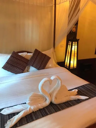 Deluxe  Double Room with Air Conditioning — Viking Nature Resort
